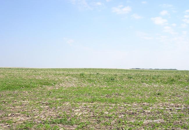 Phosphorus strategy relies on good will | Minnesota Public Radio News