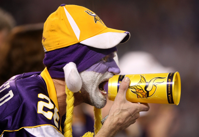 Vikings fan