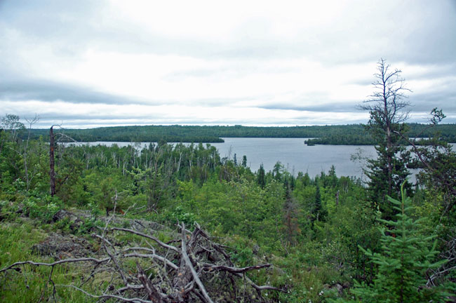 Slideshow: Boundary Waters Blowdown: 10 years later | Minnesota Public ...