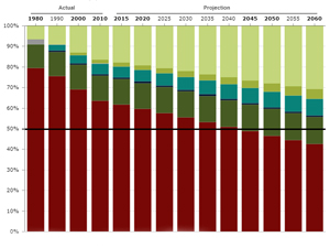 US whites keep losing ground in historic demographic shift, Census ...