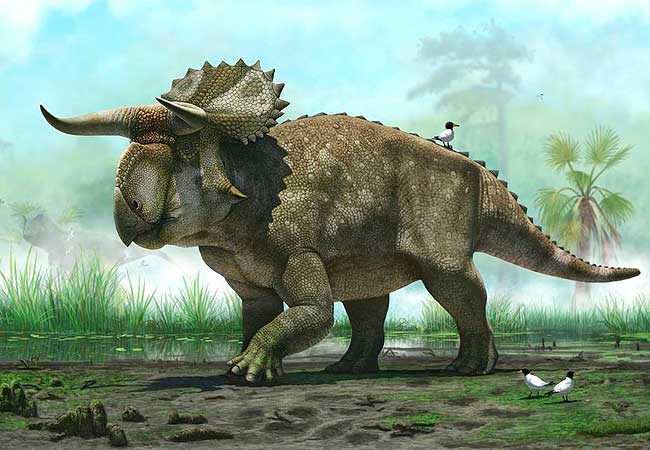 Big-nosed, horned-faced dinosaur unearthed in Utah | Minnesota Public ...